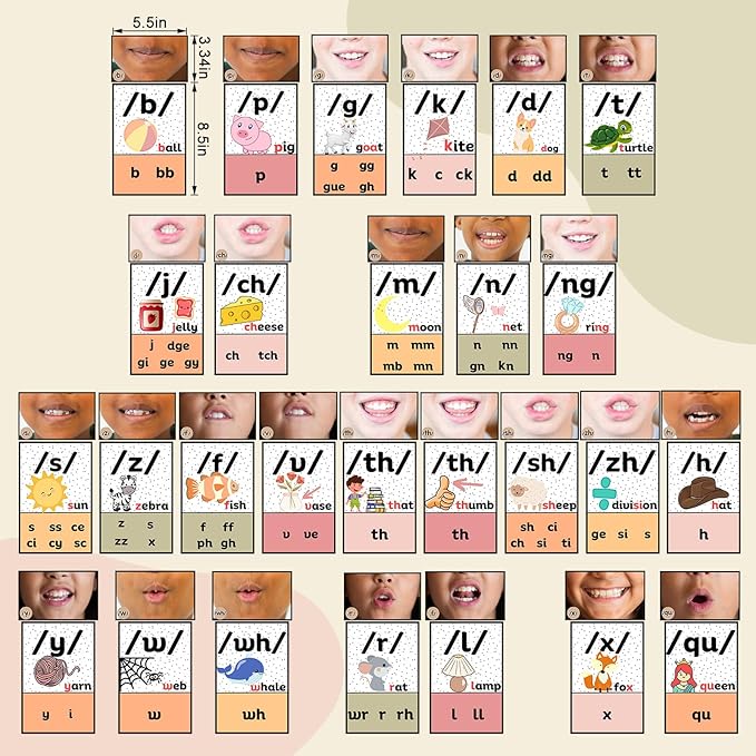 Ireer Pastel Consonants Sound Wall Classroom Neutral Phonics Kit, Science of Reading Posters for Kindergarten, Speech Therapy Materials, Phonemic Awareness, ESL Teaching Material