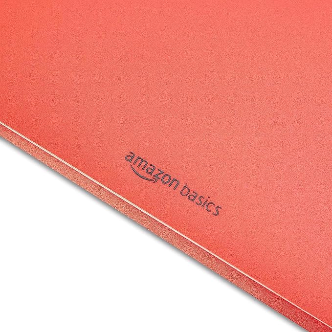 Amazon Basics Heavy Duty Plastic Folders with 2 Pockets for Documents, Letter Size Paper, School Supplies Organization, Assorted Colors, Pack of 12