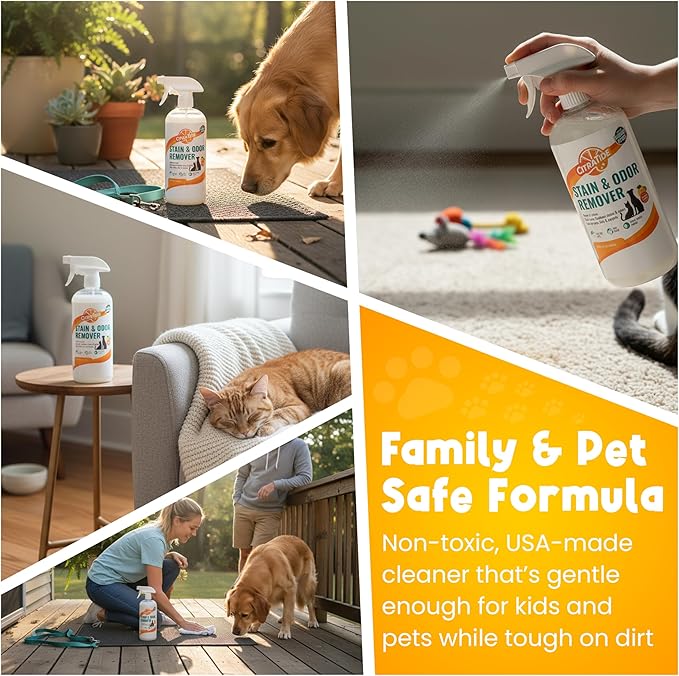 Pet Stain & Odor Remover Spray – Citrus Powered, Non-Toxic, Safe for Pets & Kids, Multi-Surface Cleaner for Carpet, Upholstery, Hardwood & More – USA Made Odor Eliminator