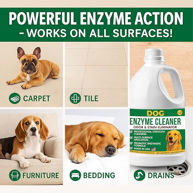 Aviano Enzyme Cleaner for Dog – 1 Gallon – Made in USA – Pet Urine Enzyme Cleaner for Tile, Hardwood, Furniture, Bedding, and Drains – Eliminates Odors with Fresh Lemon Scent