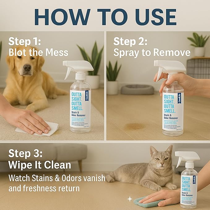 Natural Odor and Stain Remover Spray - Unscented Plant-Based Child and Pet Safe Cleaner Earth-Friendly Odor Eliminator Eco Cleaning Products for Home, Carpet, Upholstery 16 oz