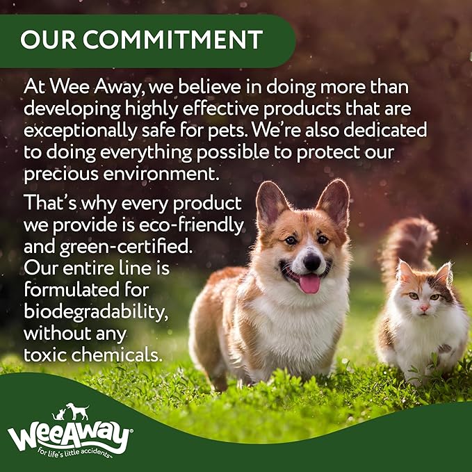Wee Away All in One Pro Stain & Odor Remover, Enzyme Cleaner, Pet Urine Odor Eliminator for Home - Pet Mess Destroyer for Carpet & Furniture, Green Tea Scent, 32 fl oz