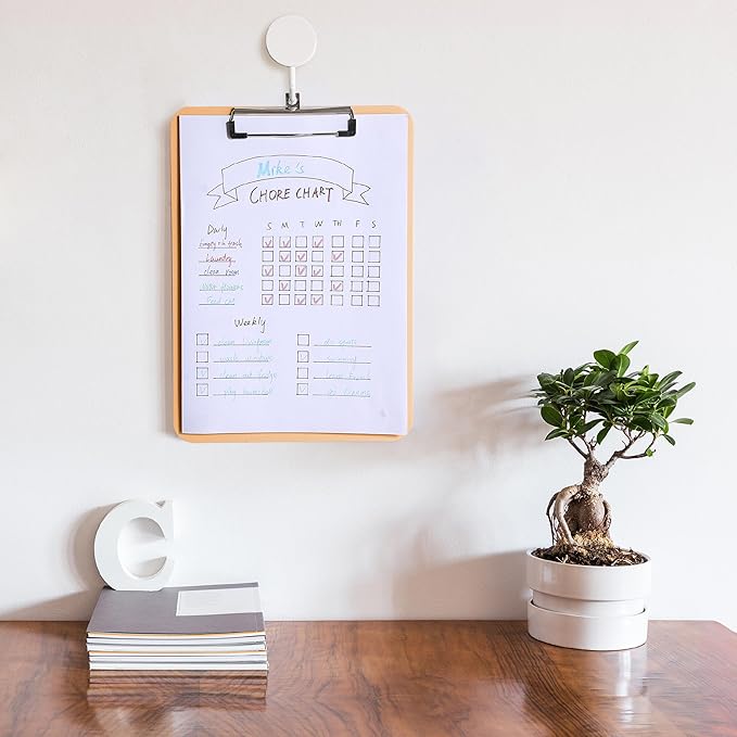 Mr. Pen- Plastic Clipboard, 12.5" x 9", 2 Pack, Peach Blush Clipboard Plastic, Low-Profile Metal Clip with Retractable Hanging Hole