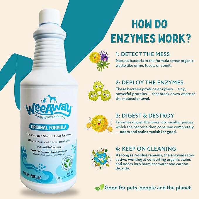 Wee Away Original Formula Concentrated Stain & Odor Remover, Enzyme Cleaner, Pet Urine Odor Eliminator for Home - Pet Mess Destroyer for Carpet & Furniture, Ocean Breeze Scent, 32 fl oz