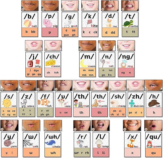 Ireer Pastel Consonants Sound Wall Classroom Neutral Phonics Kit, Science of Reading Posters for Kindergarten, Speech Therapy Materials, Phonemic Awareness, ESL Teaching Material