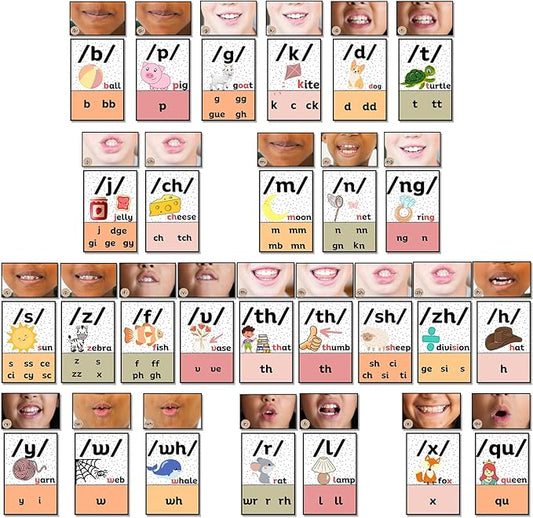 Ireer Pastel Consonants Sound Wall Classroom Neutral Phonics Kit, Science of Reading Posters for Kindergarten, Speech Therapy Materials, Phonemic Awareness, ESL Teaching Material