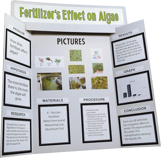 Pacon Presentation Board Project Kit with Project Papers