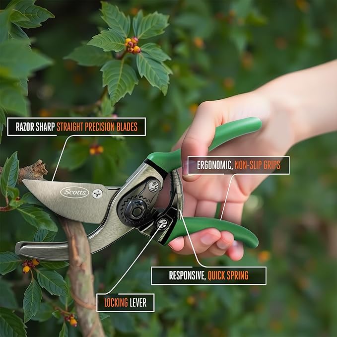 Scotts 2-Piece Pruning Shears Set – Includes 8 in. Bypass Pruner for Live Plants and 8 in. Anvil Pruner for Dry Stems – Sharp Carbon Steel Blades and Comfort Grip Handles for Garden and Yard Use
