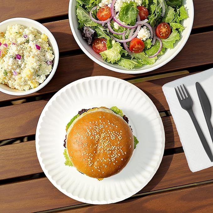 Amazon Basics 9" Uncoated White Paper Plates 100 Count (Pack of 1)