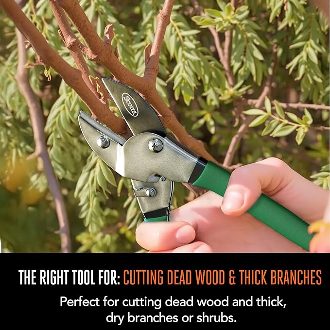 Scotts 2-Piece Pruning Shears Set – Includes 8 in. Bypass Pruner for Live Plants and 8 in. Anvil Pruner for Dry Stems – Sharp Carbon Steel Blades and Comfort Grip Handles for Garden and Yard Use