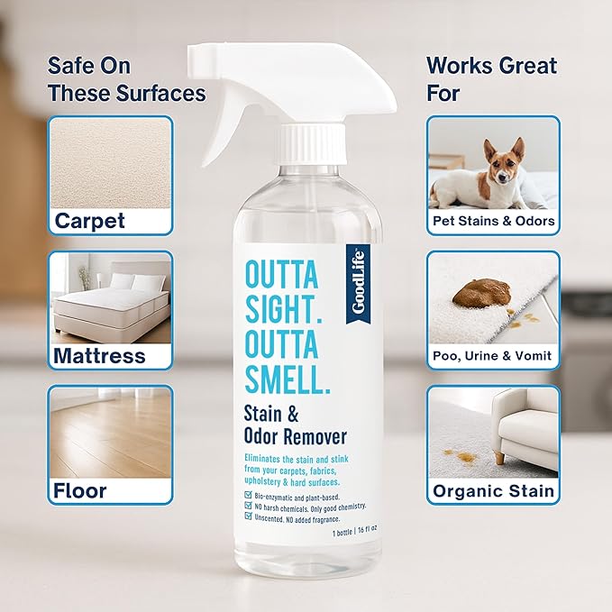Natural Odor and Stain Remover Spray - Unscented Plant-Based Child & Pet Safe Cleaner Earth-Friendly Odor Eliminator Eco Cleaning Products for Home, Carpet (1 Pack, 1 Gallon)