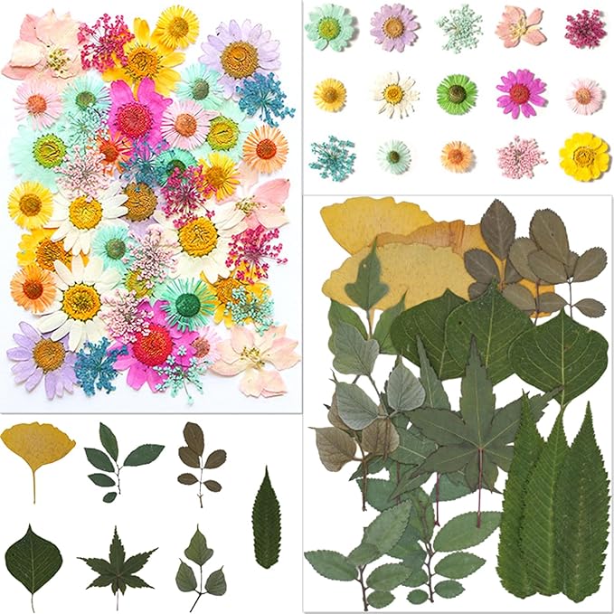 DIY Bookmark Making Kit (Dried Flowers)