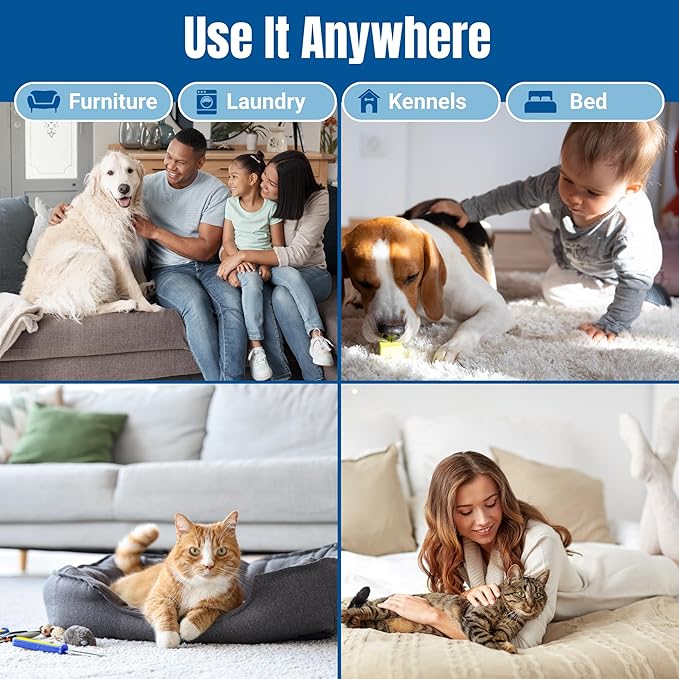 Carpet Cleaner and Deodorizer for Pets - Stain and Odor Treatment | Neutralizes Urine Stains and Eliminates Smell & Residue, Made in The USA - Biocelan Pet by Harvest and Home - 16oz