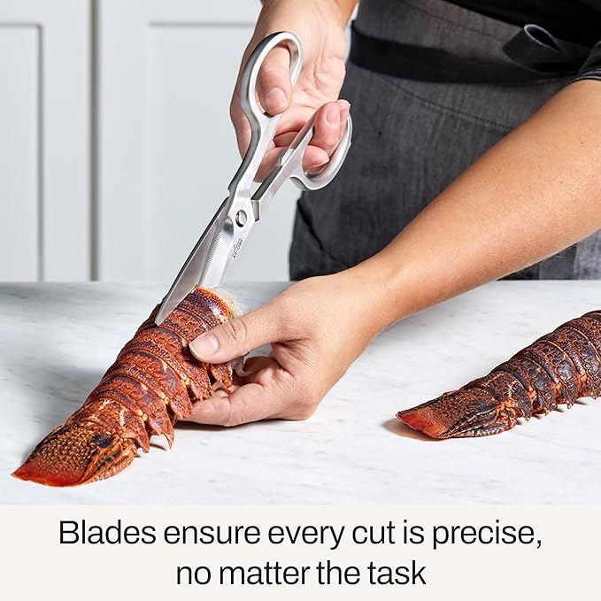All-Clad Stainless Steel, All Purpose Kitchen Shears,Heavy gauge, Ergonomic, Rust-resistance, Food Scissors for Kitchen, Chicken, Poultry, Fish, Meat,Shelfish, Snipping herbs, 8.19 inch, Silver