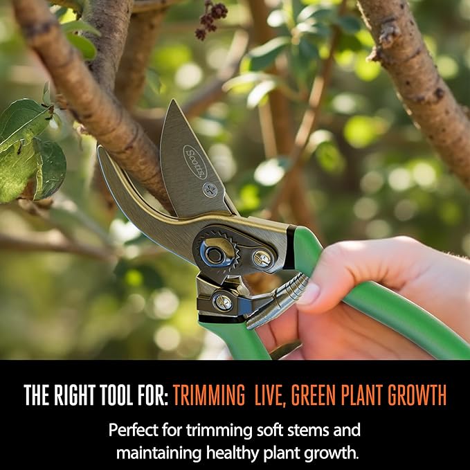 Scotts 2-Piece Pruning Shears Set – Includes 8 in. Bypass Pruner for Live Plants and 8 in. Anvil Pruner for Dry Stems – Sharp Carbon Steel Blades and Comfort Grip Handles for Garden and Yard Use