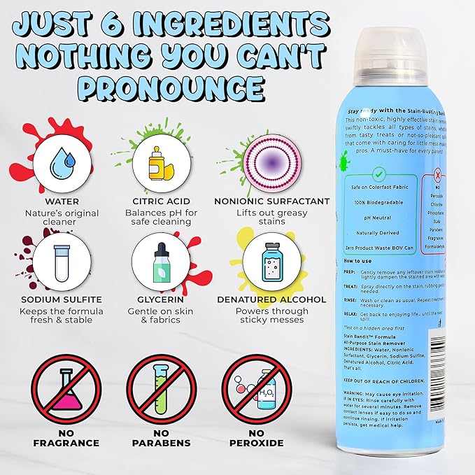 Stain Remover Spray - Non-Toxic, Family Safe Formula - Bag-On-Valve 360 Continuous Spray - Powerful Natural Cleaner for Clothes, Upholstery, Carpet, Car Seats & More - 4.2 oz (Pack of 3)