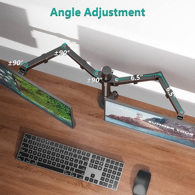 WALI Dual Monitor Stand for Desk, Dual Monitor Mounts for 2 Monitors up to 27 inch, 2 Monitor Desk Mount Holds up to 22 lbs, Height Adjustable Swivel Tilt Rotation, 75x75/100x100mm (M002), Black
