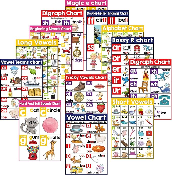 Yisong 13 Pcs English Phonics Poster Language Charts Learning Vowels Posters Alphabet Bulletin Board Set Wall Decoration (16 x 11 Inch)