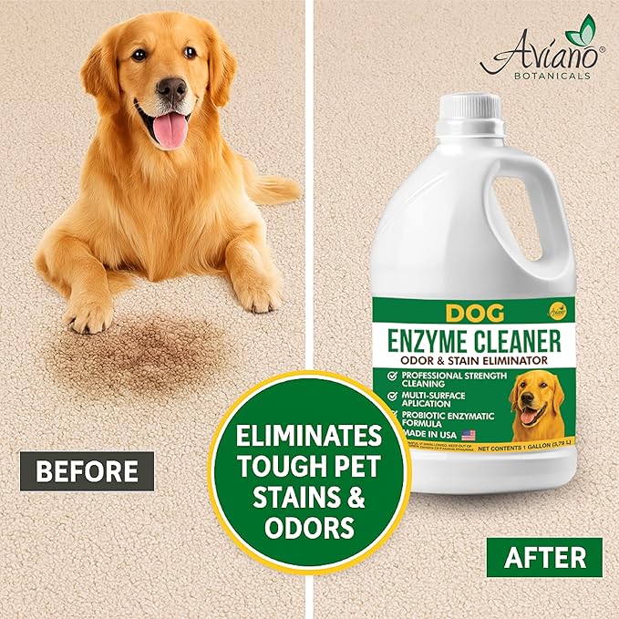 Aviano Enzyme Cleaner for Dog – 1 Gallon – Made in USA – Pet Urine Enzyme Cleaner for Tile, Hardwood, Furniture, Bedding, and Drains – Eliminates Odors with Fresh Lemon Scent