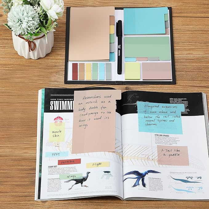 Mr. Pen- Transparent Sticky Note Set, 410 Pack, Morandi Colors, Transparent Sticky Notes Tabs, Stocky Notes for Bible Journaling