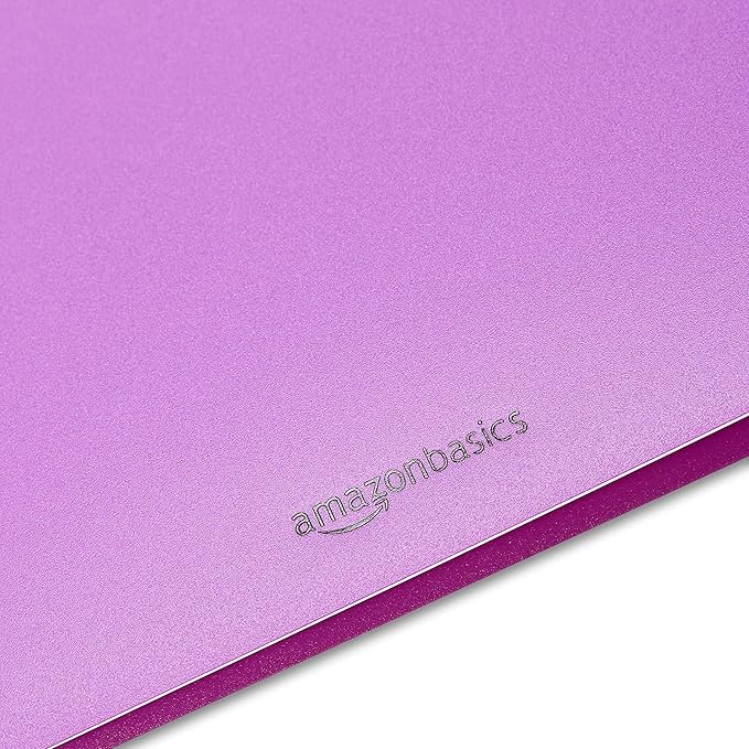 Amazon Basics Plastic 3 Hole Punch Folders with 2 Pockets, 8.5 x 11 inches, Pack of 6, Assorted Color