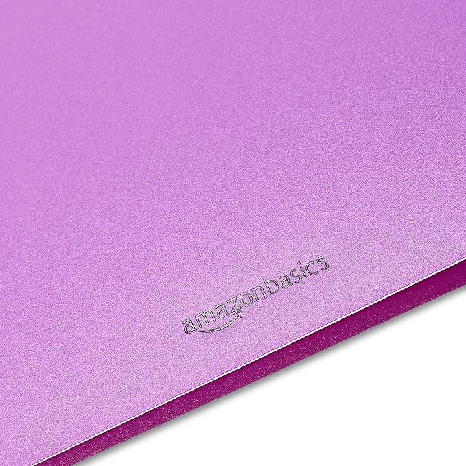 Amazon Basics Plastic 3 Hole Punch Folders with 2 Pockets, 8.5 x 11 inches, Pack of 12, Assorted Color