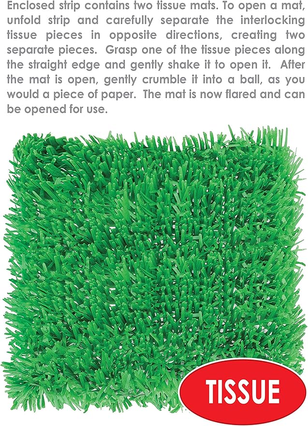 Beistle Packaged Tissue Grass Mats Party Decoration (Pack of 2)