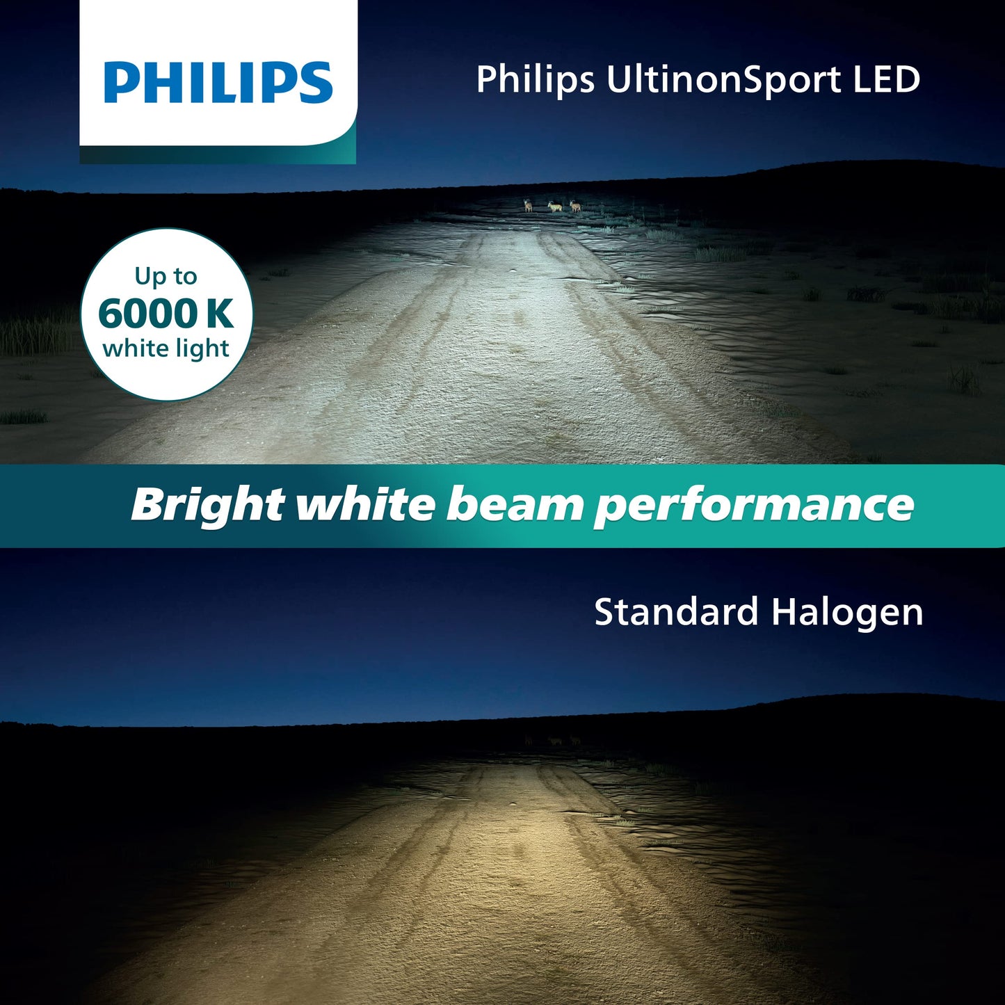 Philips UltinonSport H1 LED Fog Light Bulbs, 2 Pack, Clear, Model H1USLED